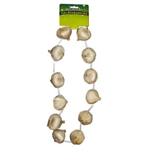 ΚΟΛΙΕ ΜΕ ΣΚΟΡΔΑ