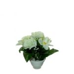 ΓΛΑΣΤΡΑΚΙ ΜΙΚΡΟ ΔΙΑΦΟΡΑ ΛΟΥΛΟΥΔΙΑ