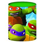 ΜΟΛΥΒΟΘΗΚΗ ΜΕΤΑΛΛΙΚΗ TURTLES