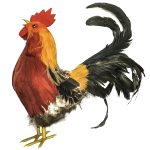 ΚΟΤΑ ΔΙΑΚΟΣΜΗΤΙΚΗ ΜΕ ΦΩΝΗ ΦΩΣ